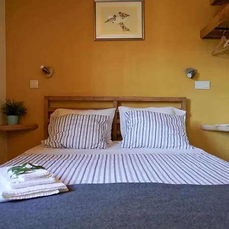 Leiras Do Seixo - Casa Dos Tinos Vakantiehuis Amarante